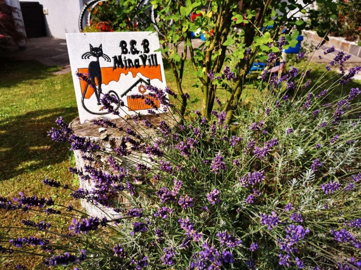 MinaVill La Casa Sulle Dolomiti Bed and Breakfast Fiera Di Primiero Esterno foto